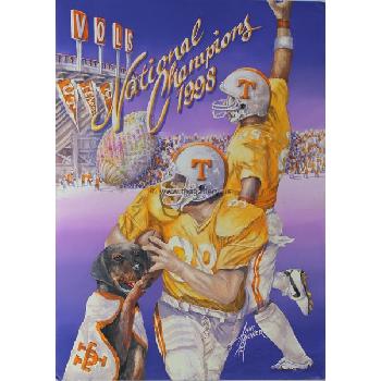 University of Tennessee Vols Image