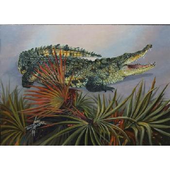 Florida Gators Image