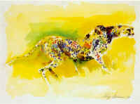 cheetah.jpg (35233 bytes)