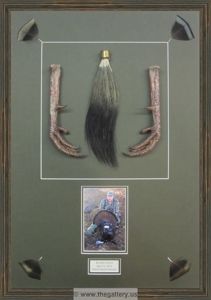 Framed turkey feet with beard.






The Gallery at Brookwood
www.thegallery.us
770-941-3394
Your Custom Framing Expert
Picture Framing Examples
Custom Framing Examples
Shadowbox Examples
texture7_4553476_50