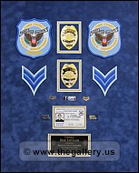 Cobb County Police Department retirement shadow box with police badges, patches, ID cards and lapel pins.
diplomas.jpg