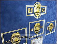 Detail view of Cobb County Police Department retirement shadow box with police badges, patches, ID cards and lapel pins.
diplomas_combined_in_frame.jpg