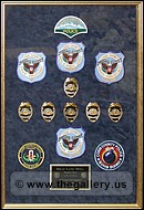 Police Department retirement shadow box with police badges, patches, ID cards and lapel pins.
marietta_diploma_frame.jpg