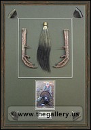 Framed turkey feet with beard.
norcross-mirror-hanger.jpg