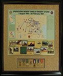 Desert Storm medals with poster
atlanta_diploma_frames.jpg