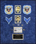 Cobb County Police Department retirement shadow box with police badges, patches, ID cards and lapel pins.
diplomas.jpg