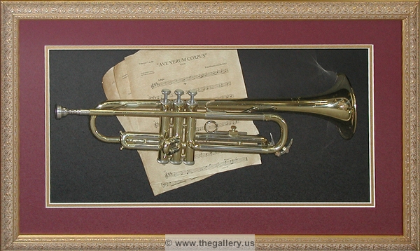 Trumpet shadow box






The Gallery at Brookwood
www.thegallery.us
770-941-3394
Your Custom Framing Expert
Picture Framing Examples
Custom Framing Examples
Shadowbox Examples
trumpet_shadow_box