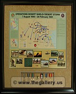 Desert Storm medals with poster
Atlanta_Corporate_Framing.jpg