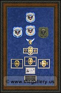 Cobb County Police Department retirement shadow box with police badges, patches, ID cards and lapel pins.
office_of_state_administrative_hearings.jpg
