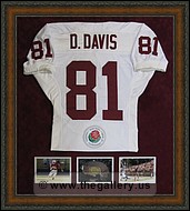 Framed jersey with photos shadowbox
powder-springs-mirror-framer.jpg