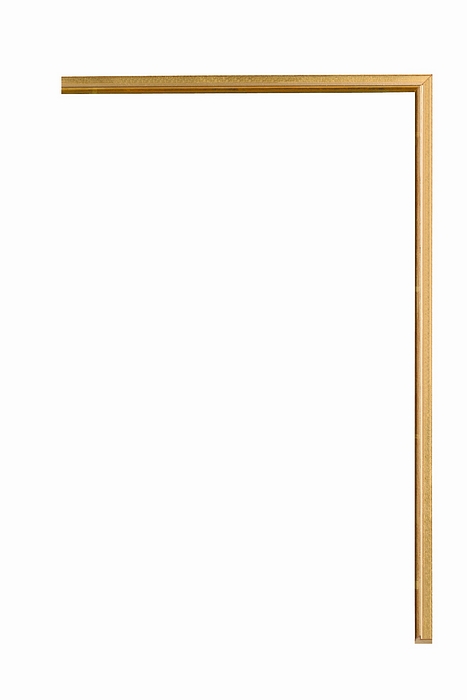 Larson Juhl 102212 Order Online   SENELAR W/GILD FILLET 1/8  Custom Frames And Moulding Shipped Nationwide