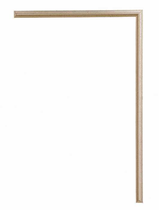 Larson Juhl 103237 Order Online   ACADEMIE SILVER FILLET 5/16  Custom Frames And Moulding Shipped Nationwide