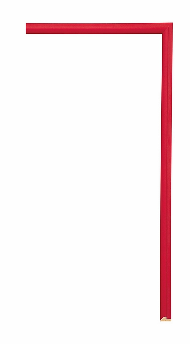 Larson Juhl 115635 Order Online   CONFETTI RED FILLET 1/4  Custom Frames And Moulding Shipped Nationwide