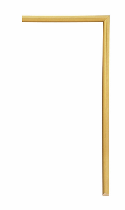 Larson Juhl 115651 Order Online   CONFETTI METALLIC GLD FLT  Custom Frames And Moulding Shipped Nationwide