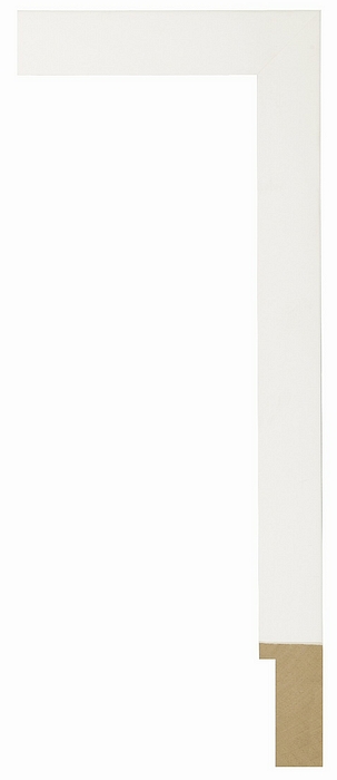Larson Juhl 119631 Order Online   CONFETTI WHITE CAP 1  Custom Frames And Moulding Shipped Nationwide