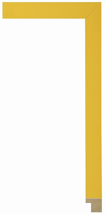 Larson Juhl 140632 Order Online   CONFETTI YELLOW 7/8  Custom Frames And Moulding Shipped Nationwide
