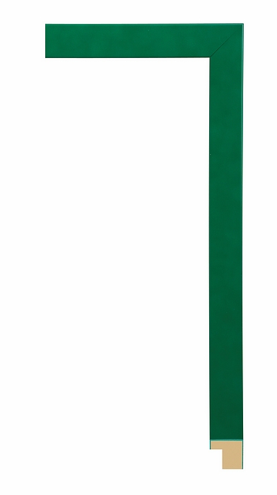 Larson Juhl 140650 Order Online   CONFETTI SHAMROCK 7/8  Custom Frames And Moulding Shipped Nationwide