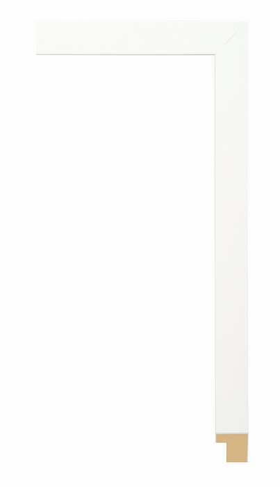 Larson Juhl 140653 Order Online   CONFETTI WHITE 7/8  Custom Frames And Moulding Shipped Nationwide