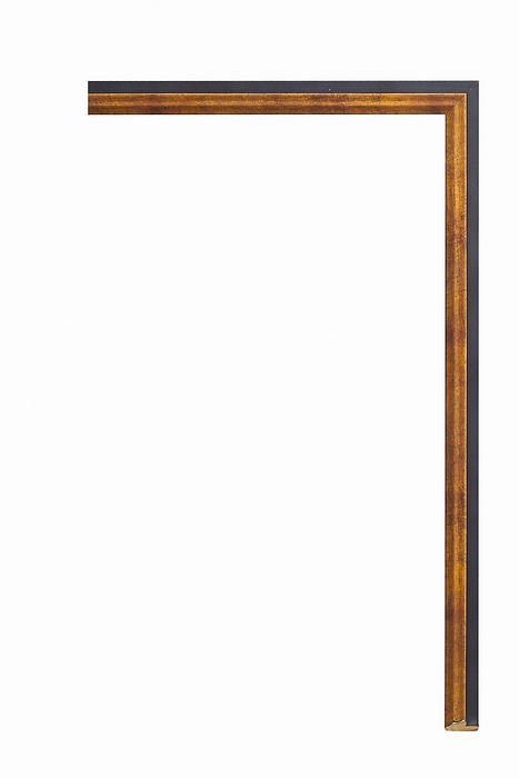 Larson Juhl 192373 Order Online   AEGEAN SUN YELLOW FIL 7/16  Custom Frames And Moulding Shipped Nationwide