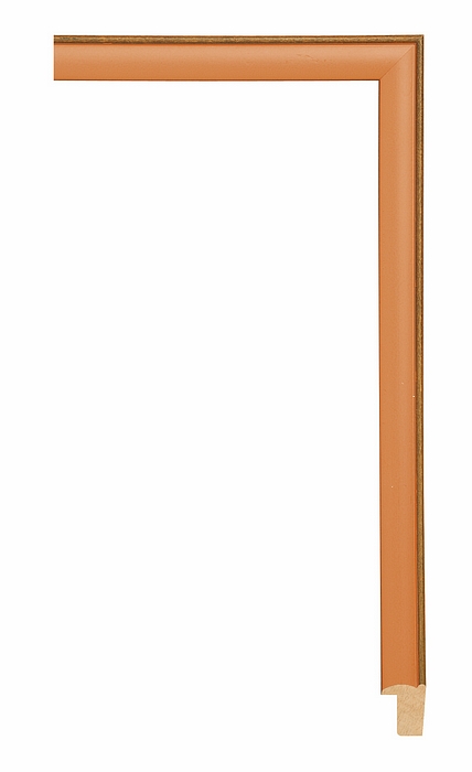 Larson Juhl 202109 Order Online   STITCH PUMPKIN ORANGE 3/4  Custom Frames And Moulding Shipped Nationwide