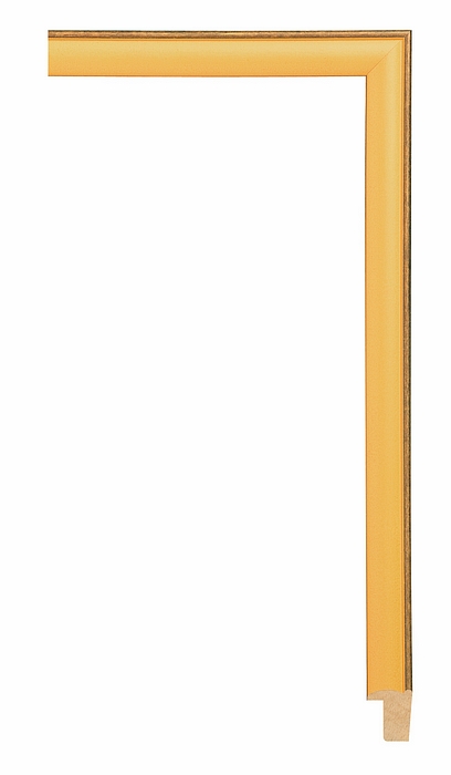 Larson Juhl 202110 Order Online   STITCH LT. TANGERINE 3/4  Custom Frames And Moulding Shipped Nationwide