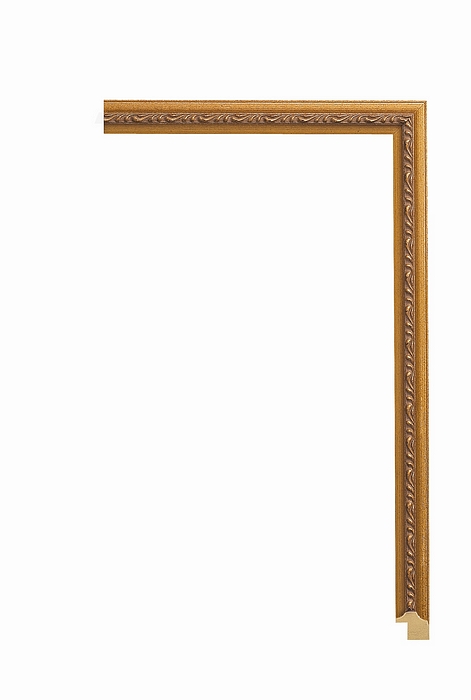 Larson Juhl 206CG Order Online   CLASSIC GOLD 3/4   206cg  Custom Frames And Moulding Shipped Nationwide