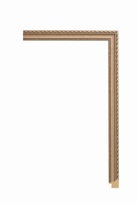 Larson Juhl 208CS Order Online   CLASSIC SILVER 3/4  Custom Frames And Moulding Shipped Nationwide