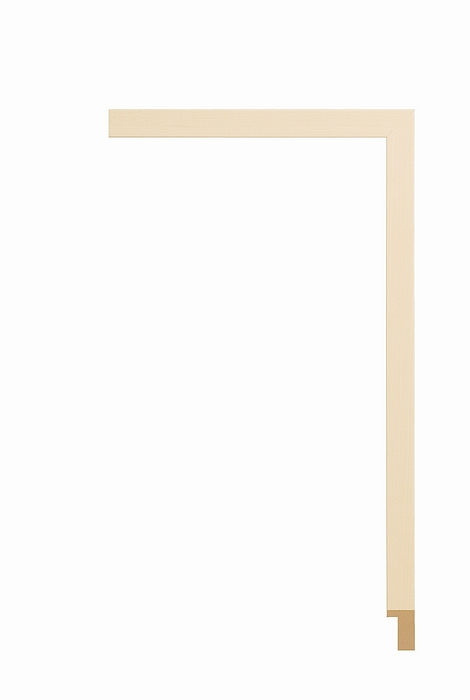 Larson Juhl 225WHT Order Online   RF/WHITE WASH           5/8  Custom Frames And Moulding Shipped Nationwide