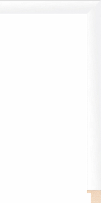Larson Juhl 244510 Order Online   ALTO WHT 13/16  Custom Frames And Moulding Shipped Nationwide