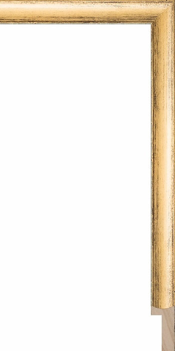 Larson Juhl 245150 Order Online   SPENCER GOLD CAP    3/4  Custom Frames And Moulding Shipped Nationwide