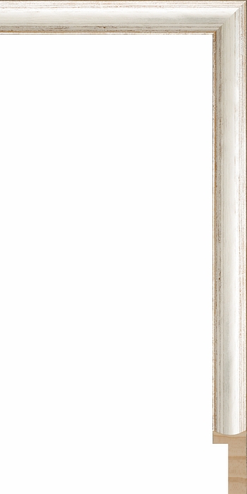 Larson Juhl 245151 Order Online   SPENCER SIL/BRN CAP 3/4  Custom Frames And Moulding Shipped Nationwide