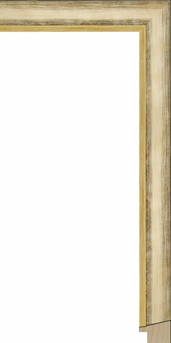 Larson Juhl 247192 Order Online   DOMUS CHMPGNE SLANT 1 1/8  Custom Frames And Moulding Shipped Nationwide Larson Juhl 247192 Order Online   DOMUS CHMPGNE SLANT 1 1/8  Custom Frames And Moulding Shipped Nationwide