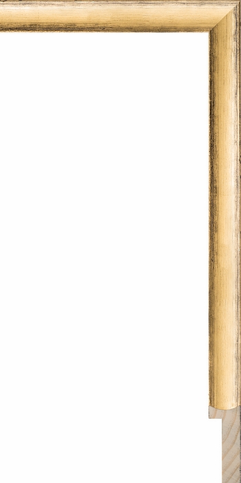 Larson Juhl 248150 Order Online   SPENCER GOLD TALL CAP 3/4  Custom Frames And Moulding Shipped Nationwide