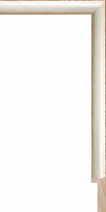 Larson Juhl 248151 Order Online   SPENCER SIL/BRN LG/CAP 3/4  Custom Frames And Moulding Shipped Nationwide