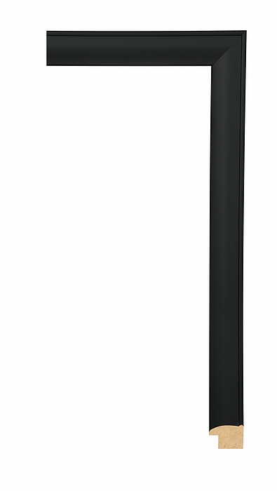Larson Juhl 296350 Order Online   BROOKLYN BLK DOME  1  Custom Frames And Moulding Shipped Nationwide