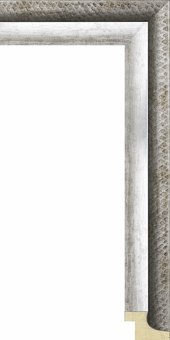 Larson Juhl 309100 Order Online  EIFFEL 1 9/16 SWAN SILVER  Custom Frames And Moulding Shipped Nationwide