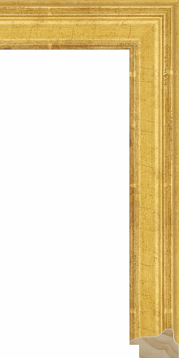 Larson Juhl 316180 Order Online   HUDSON GOLD SCOOP 1 5/8  Custom Frames And Moulding Shipped Nationwide Larson Juhl 316180 Order Online   HUDSON GOLD SCOOP 1 5/8  Custom Frames And Moulding Shipped Nationwide