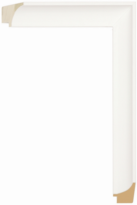 Larson Juhl 320941 Order Online   GALLERY 1 WHITE SCP 1 1/2  Custom Frames And Moulding Shipped Nationwide