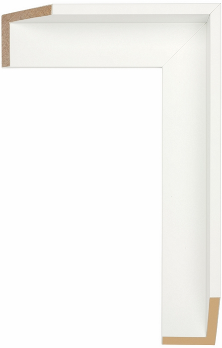 Larson Juhl 324941 Order Online   GALLERY 1 WHITE FLOAT 2  Custom Frames And Moulding Shipped Nationwide