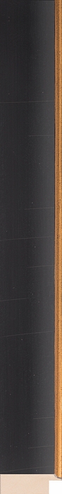 Larson Juhl 336220 Order Online   HUDSON II BLKGLD FLAT 1 1/2  Custom Frames And Moulding Shipped Nationwide