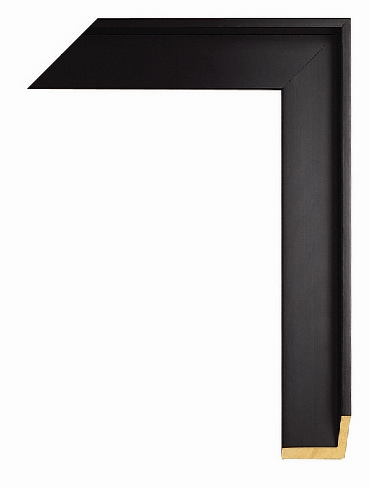 Larson Juhl 343804 Order Online   GAL1/SILH BLK FLOAT 1 3/4  Custom Frames And Moulding Shipped Nationwide