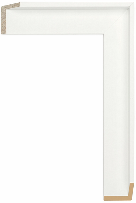 Larson Juhl 343805 Order Online   GALLERY 1 WHT FLOAT 1 3/4  Custom Frames And Moulding Shipped Nationwide