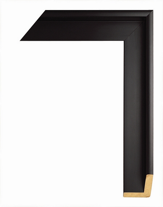 Larson Juhl 353804 Order Online   SILHOUETTE FLOAT BLK 1 3/4   Custom Frames And Moulding Shipped Nationwide