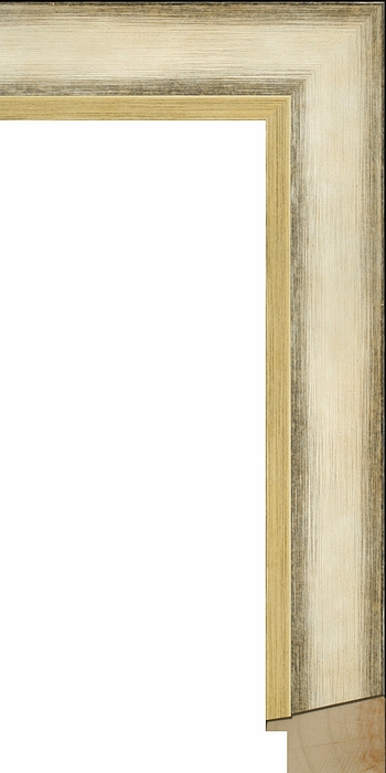 Larson Juhl 367192 Order Online   DOMUS CHMPGN SLANT 1 13/16  Custom Frames And Moulding Shipped Nationwide Larson Juhl 367192 Order Online   DOMUS CHMPGN SLANT 1 13/16  Custom Frames And Moulding Shipped Nationwide