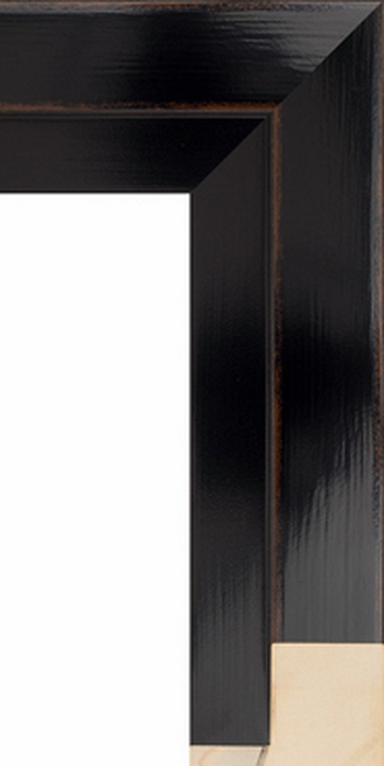 Larson Juhl 401250 Order Online   KOMODO BLACK FLOAT 2 11/16  Custom Frames And Moulding Shipped Nationwide
