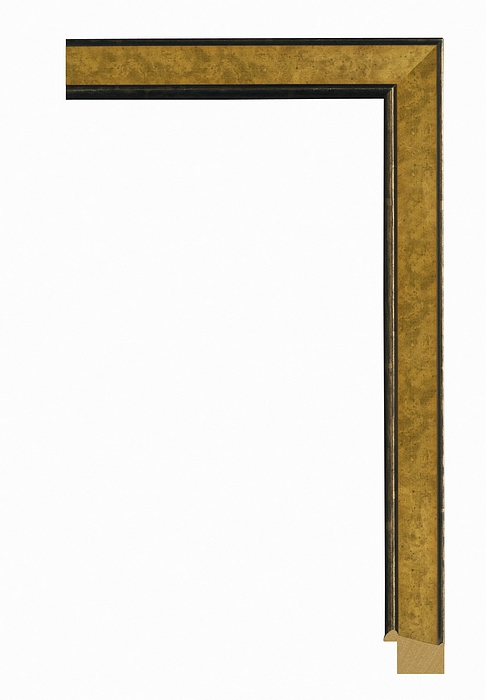 Larson Juhl 415303 Order Online   CANALETTO GOLD 1 1/8  Custom Frames And Moulding Shipped Nationwide