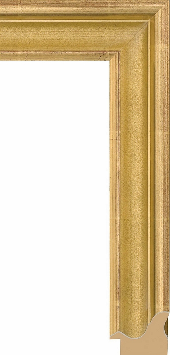 Larson Juhl 440951 Order Online   CEZANNE GLD AMERIC COVE 2  Custom Frames And Moulding Shipped Nationwide
