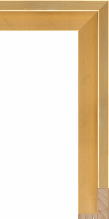 Larson Juhl 442670 Order Online   TATE GOLD FLOAT 1 3/4  Custom Frames And Moulding Shipped Nationwide