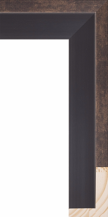 Larson Juhl 517290 Order Online   ANDOVER LG FLOAT SUD 2 1/4  Custom Frames And Moulding Shipped Nationwide
