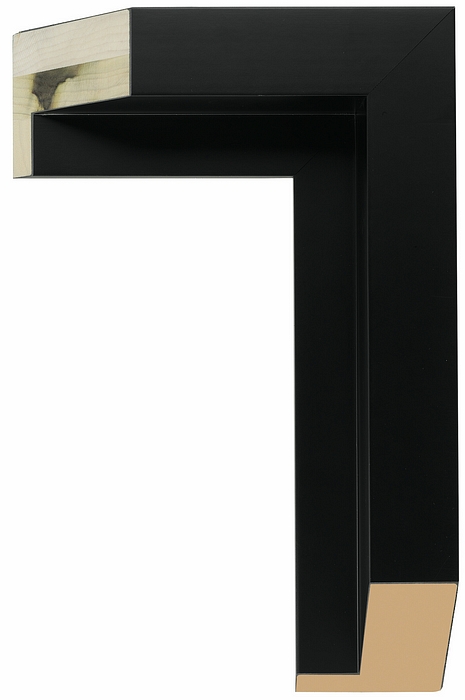 Larson Juhl 524940 Order Online   GALLERY 1 BLK FLOAT 2 3/4  Custom Frames And Moulding Shipped Nationwide